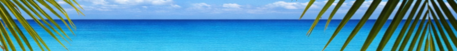 FloridaKauf – Navigation