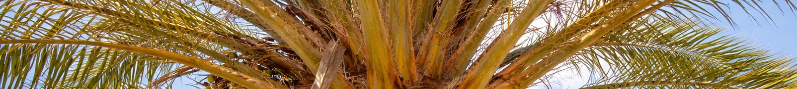 Navigation – Immobilienangebote, Informationen und Immobilienmakler